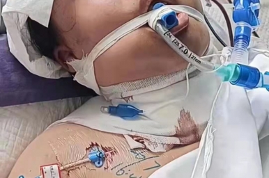 鸟儿飞翔，需要翅膀